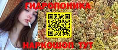 прущие грибы Анжеро-Судженск